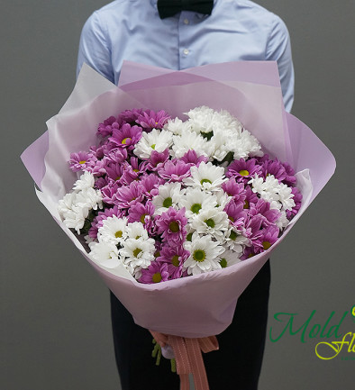 Bouquet of white and pink chrysanthemums photo 394x433